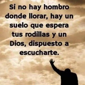 Meet your Posher, Pina